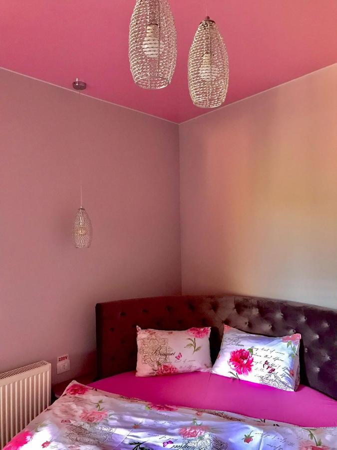 Sweet Pink By Miro Apartment Сіная Екстер'єр фото