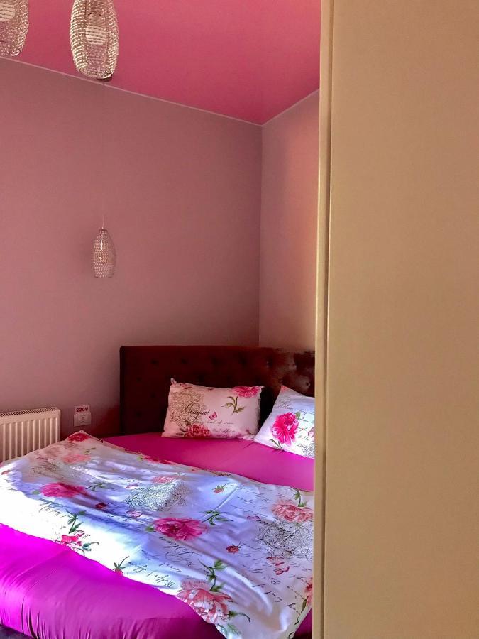 Sweet Pink By Miro Apartment Сіная Екстер'єр фото